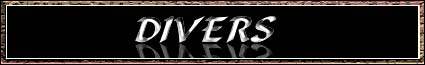 divers