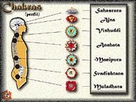 Les chakras